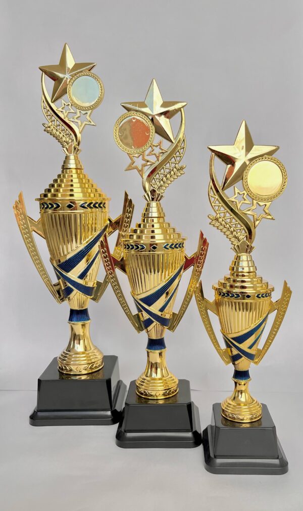TROFEO DORADO VICTORIA ALADA X3