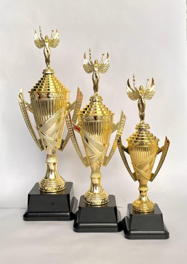 TROFEO DORADO VICTORIA ALADA X3